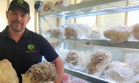Mushroom grower Matt Davis