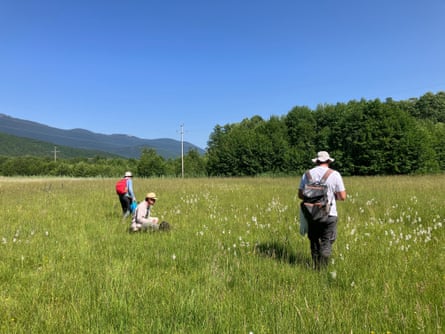 Three people in sunhats in a meadow in the countryside on a summer’s day
