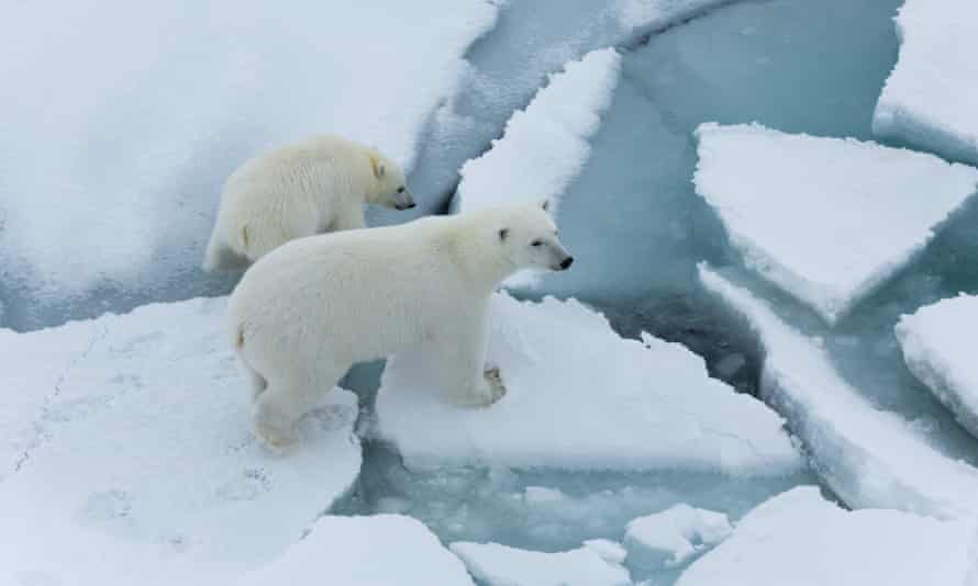 The Arctic ice sheets are melting.