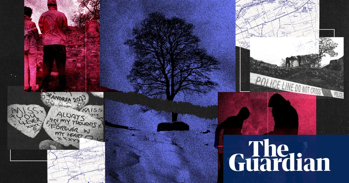 Stealing joy': the sadness and symbolism of the crime at Sycamore Gap