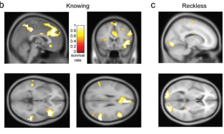 Scans from mock crime experiments show how neurons fire up in different areas of brain in people committing crimes knowingly and those who break the law by being reckless.