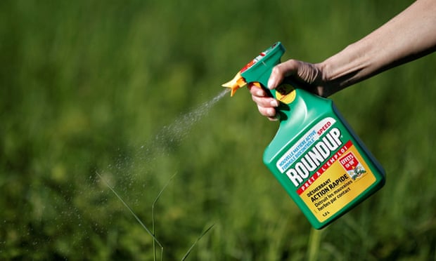 The CDC has only recently started examining the extent of human exposure to glyphosate in the US.