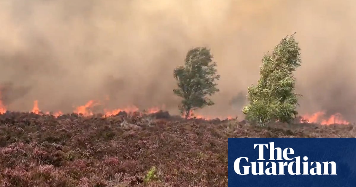 Major fire incident declared in Surrey and Londoners urged not to barbecue