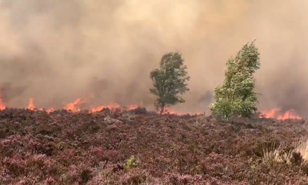 Fire at Hankley Common