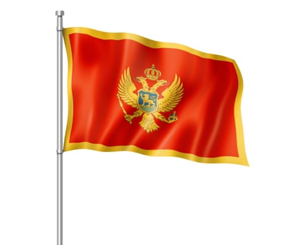 A flag with a red field, a gold border and a gold coat of arms with green detail in the centre