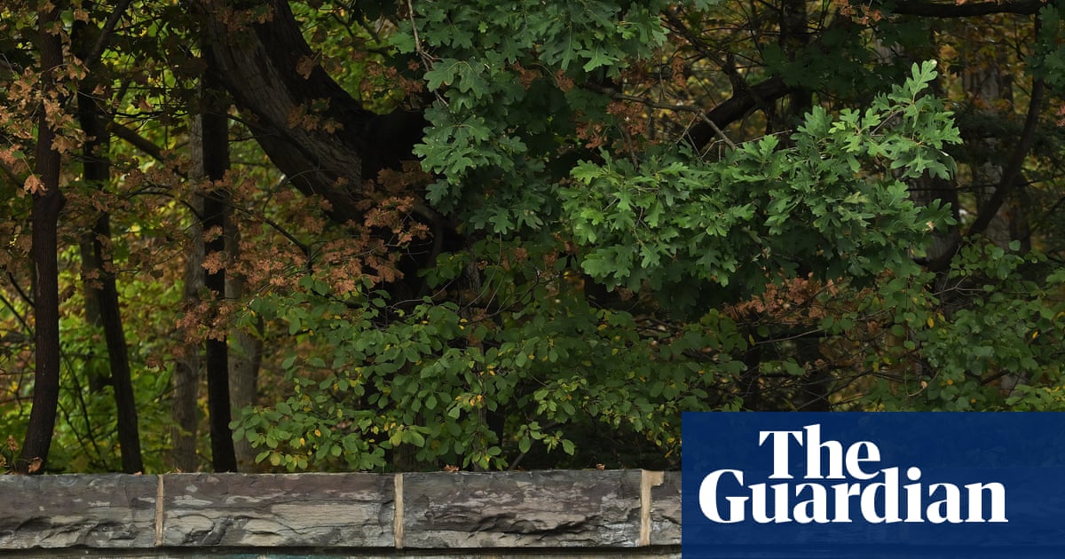 Texts about alleged Cornell gang-rape released after investigation reopened