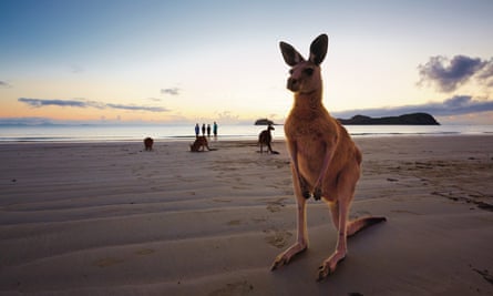 Super Keen Australia S Tourism Operators Reopen As Bookings Surge But Doctors Urge Caution Tourism Australia The Guardian