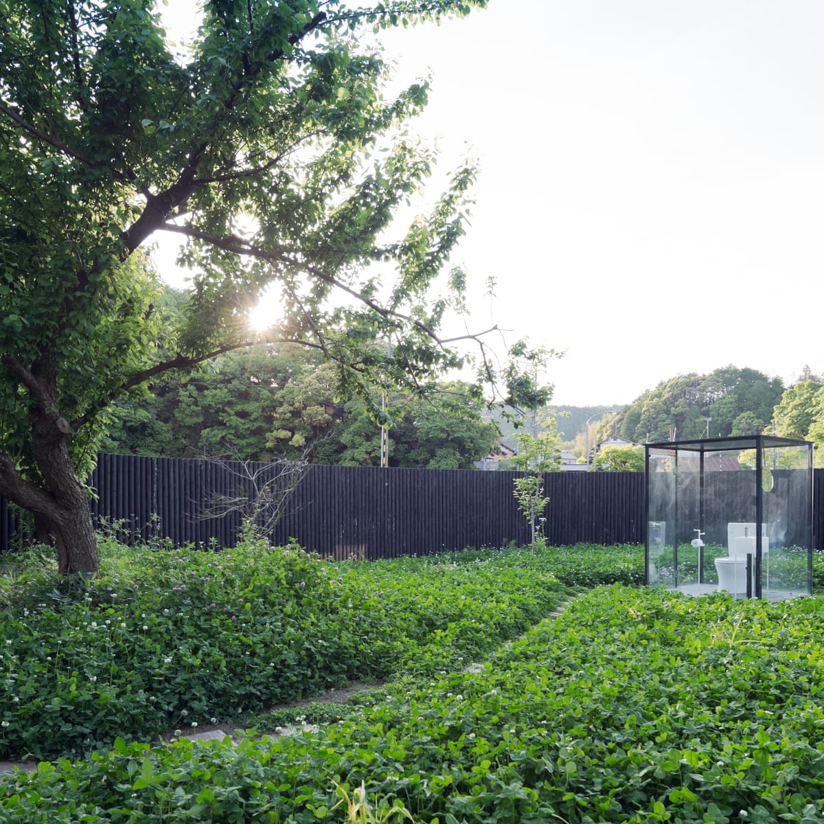 Sou Fujimoto The Architect Revolutionising Libraries And Loos Architecture The Guardian