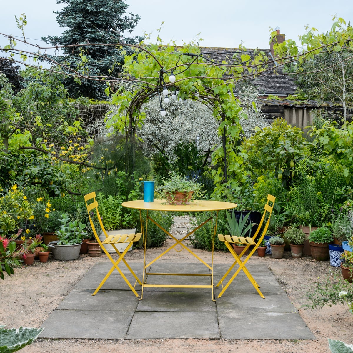 Featured image of post Cheap Backyard Ideas No Grass - A more durable grass blend: