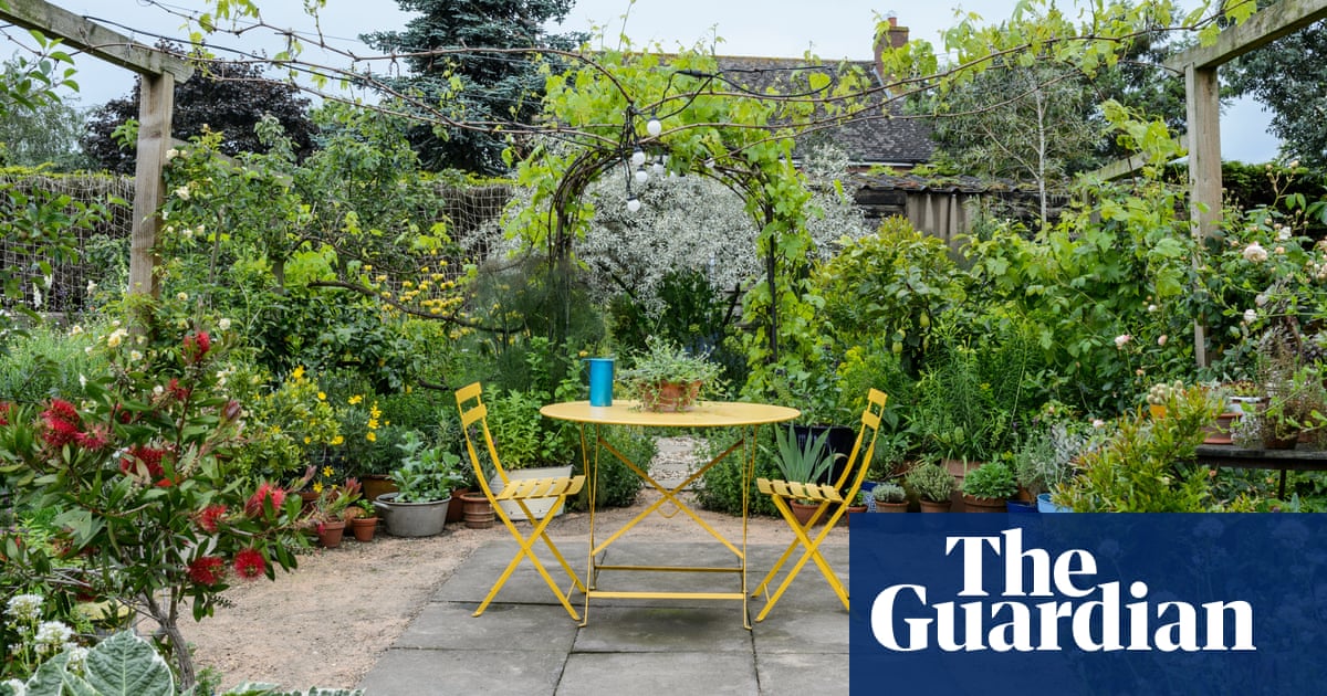 Keep Off The Grass Five Alternatives To A Lawn Life And Style