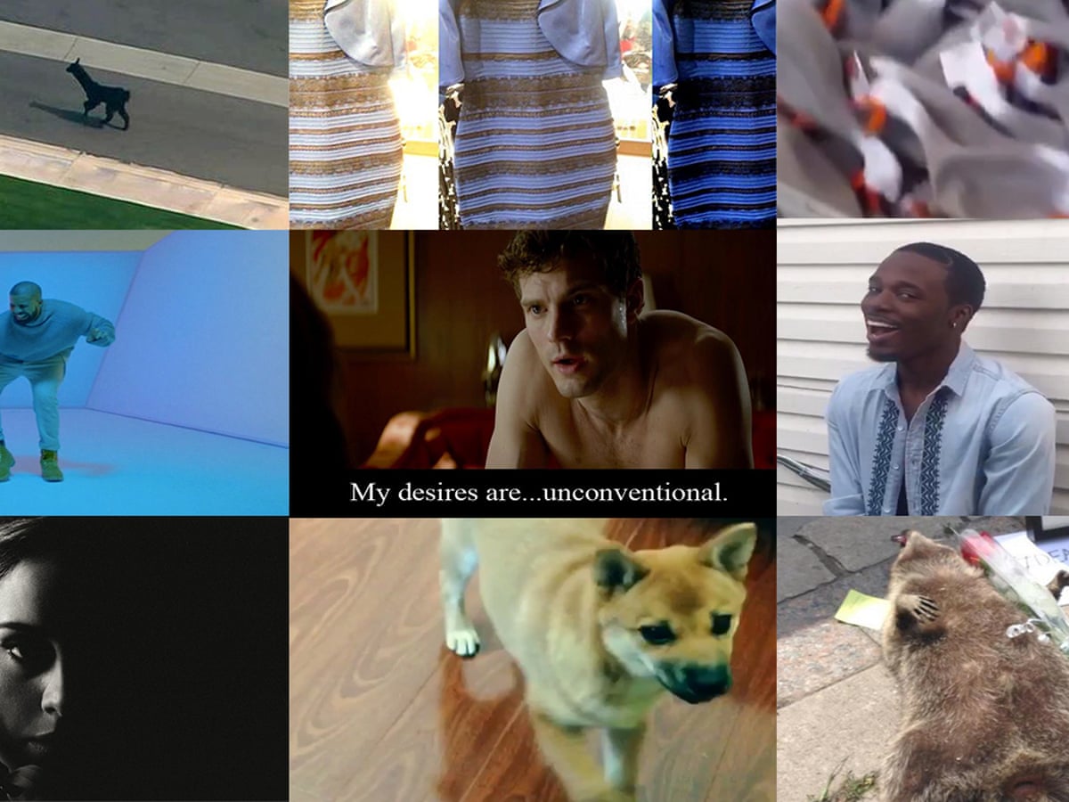 The 12 Best Memes Of 2015 Runaway Llamas The Dress Adele