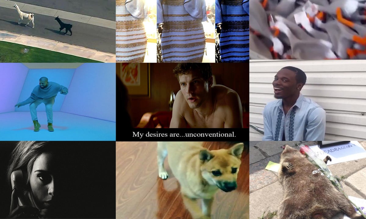 The 12 Best Memes Of 2015 Runaway Llamas The Dress Adele Technology The Guardian