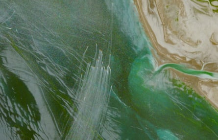 Swarm of small boats leaving white trails in the green water near a coastline
