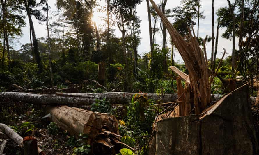 Deforestation in the Ituri Rainforest in northeastern Democratic Republic of the Congo