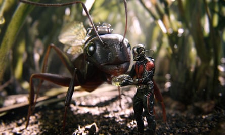 Paul Rudd in Ant-Man.