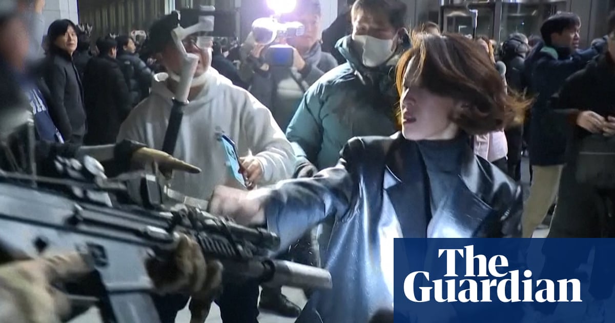 Moment South Korean woman grabs soldier's rifle during martial law chaos - video