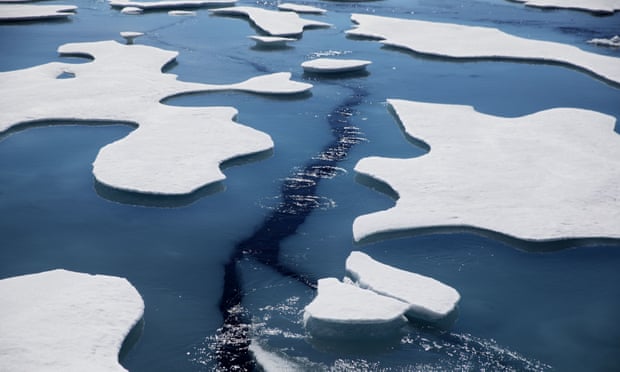 Earth’s sea ice has shrunk dramatically in recent years.