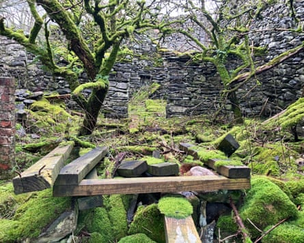 Walls of building with no roof; timbers lie in the middle