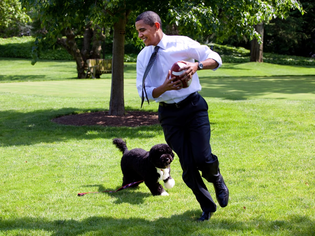 Trump Obama Christmas Photos 2021 Phone Dogs Big Bark But No Bite Obamas Mourn Former First Dog Bo Barack Obama The Guardian Trump Obama Christmas Photos 2021 Phone Dogs Big Bark But No Bite Obamas Mourn Former First Dog Bo Barack Obama The Guardian