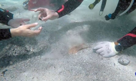 A diver hands a coin to another diver on the seabed
