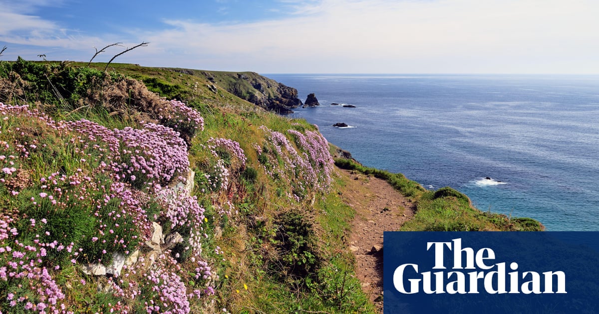Spring sings with birdlife and wildflowers': readers' favourite UK trips of the season