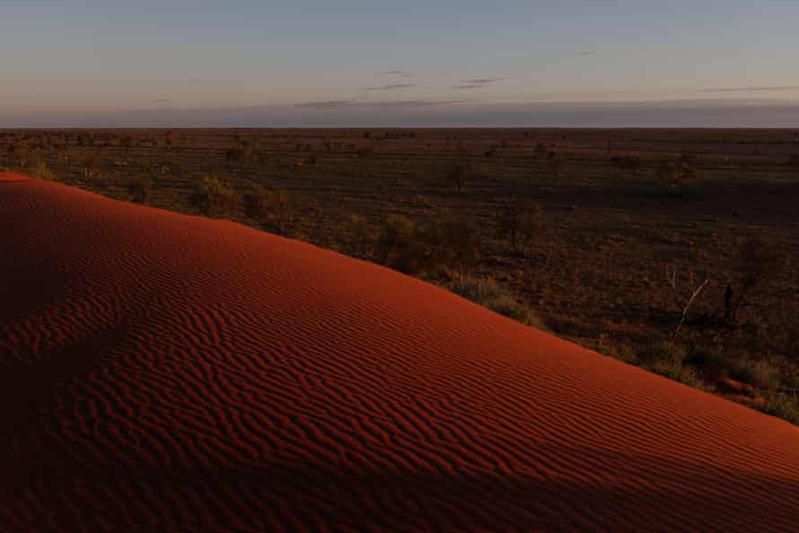 A sandhill on Ourdel station