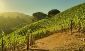 The climate and soil of Moraga vineyard are similar to Bordeaux rather than Napa, says the estates winemaker.