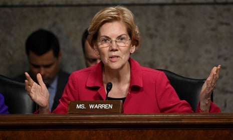 Elizabeth Warren in Washington DC on 13 February. 