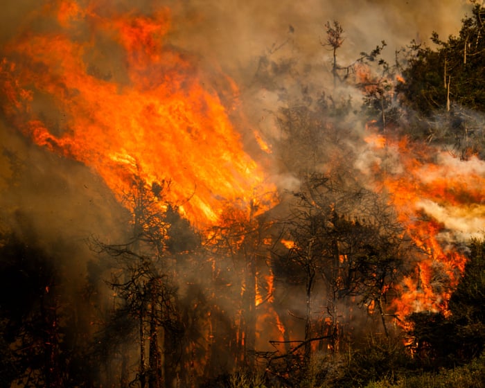 Firefighters Sound Alarm: Government Fails to Support Them Amid Wildfire Crisis