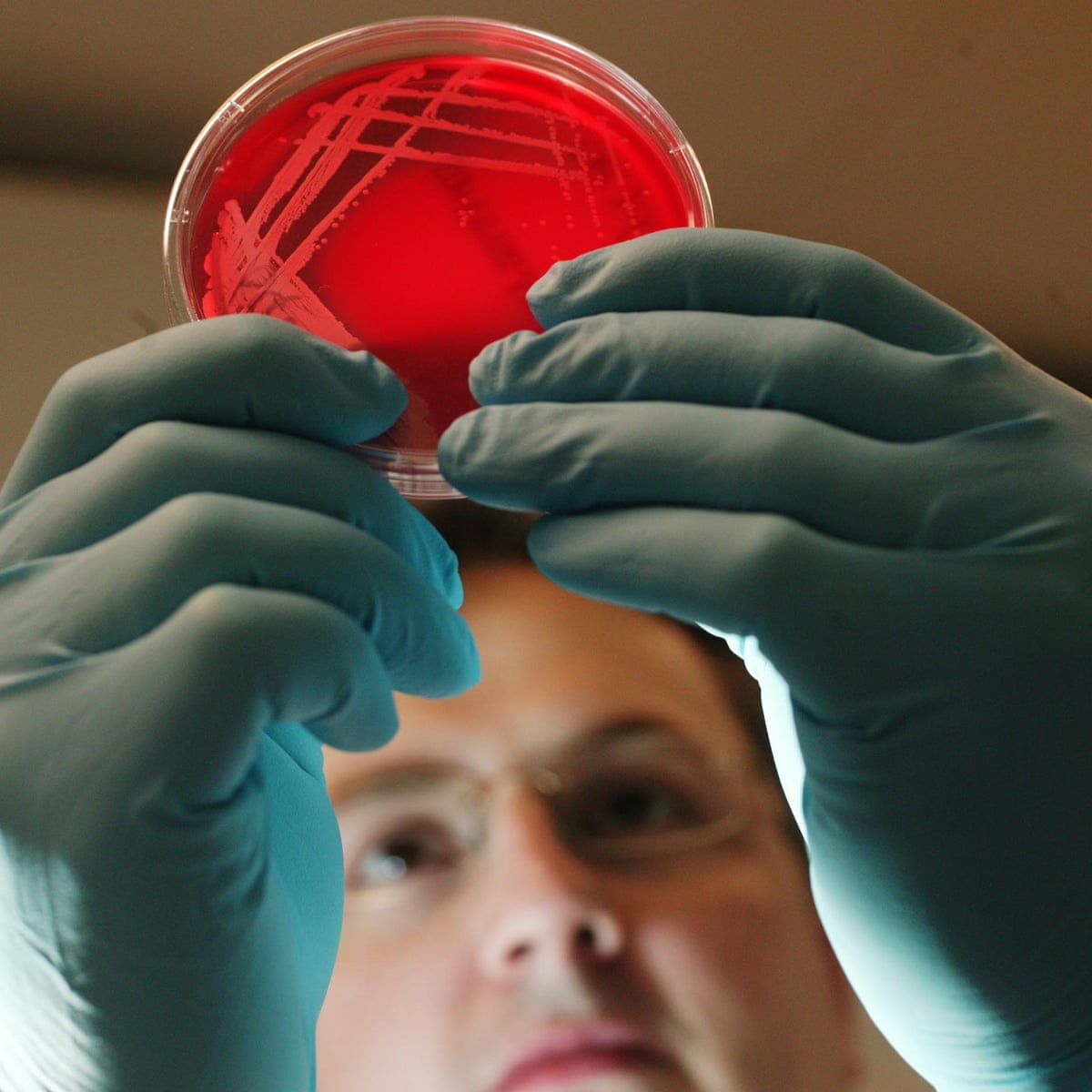 Trials To Begin On Covid 19 Vaccine In Uk Next Month Society The Guardian
