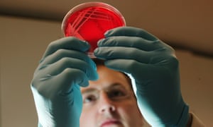 Porton Down researcher with Petri dish