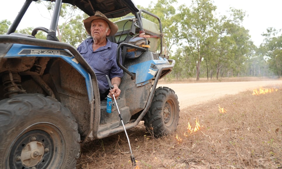 ‘We are going to lose these birds’: the quiet fight to save the golden-shouldered parrot Tom Shephard backburns on his property. He has seen off poachers in the past. Photograph: Braydon Moloney