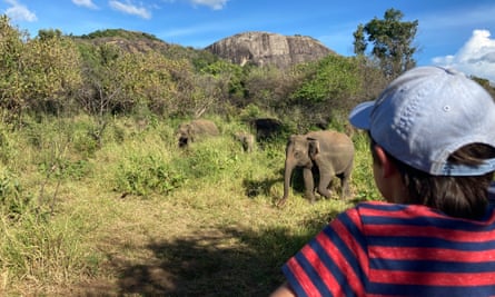 Seb during an elephant safari.