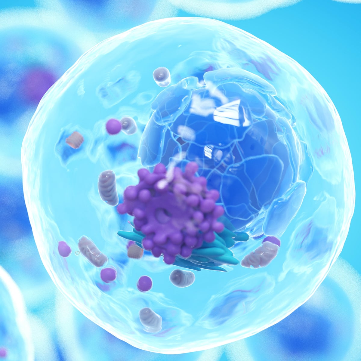 Human Cell Wallpaper Human cell wallpaper
