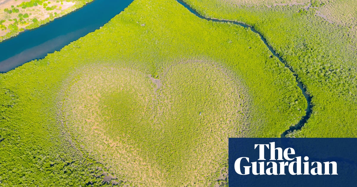 The heart-shaped mangrove formation fading due to rising seas