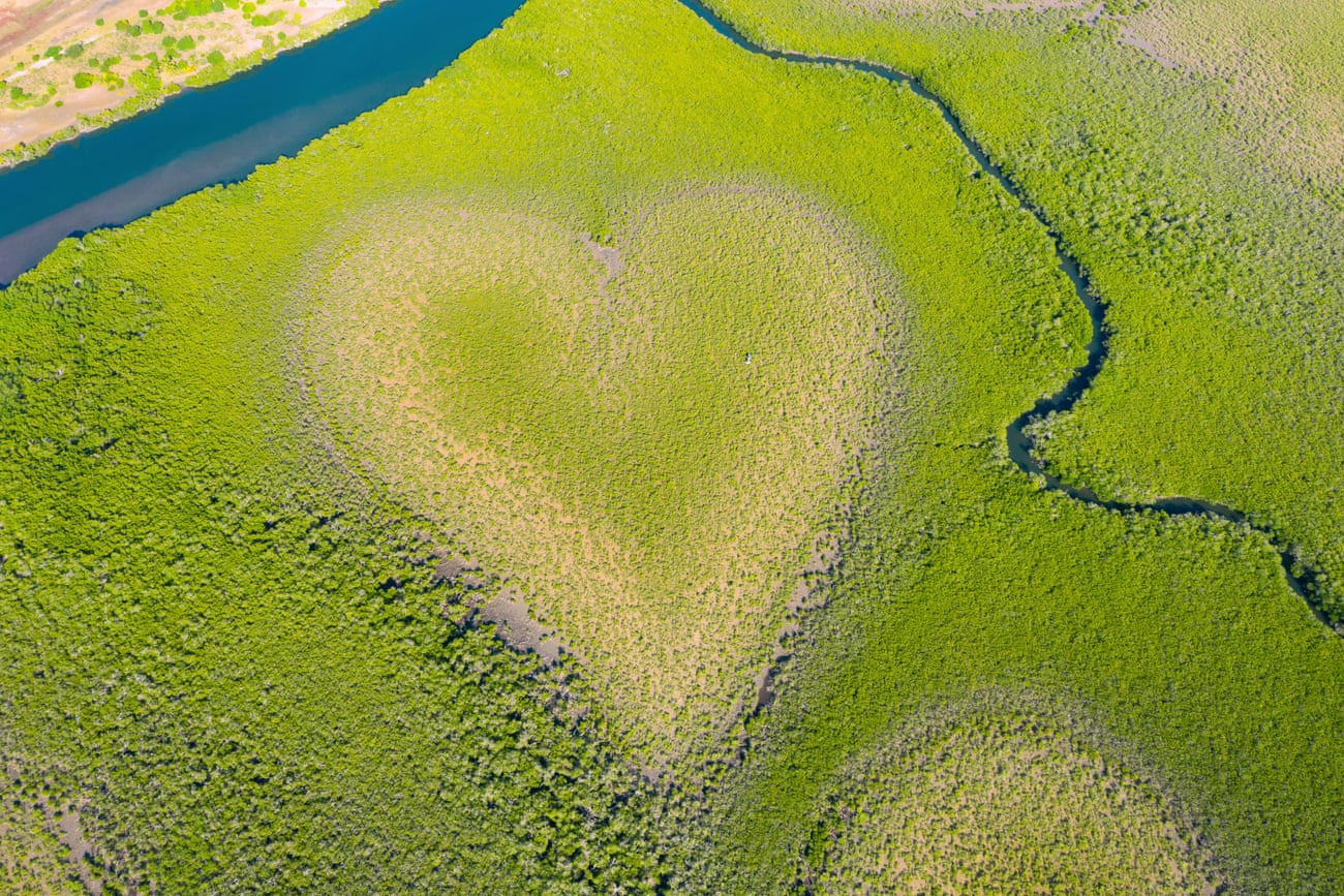 Image source - https://www.theguardian.com/environment/2025/aug/15/the-heart-shaped-mangrove-formation-fading-due-to-rising-seas
