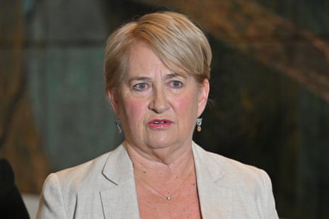 Greens senator Barbara Pocock.