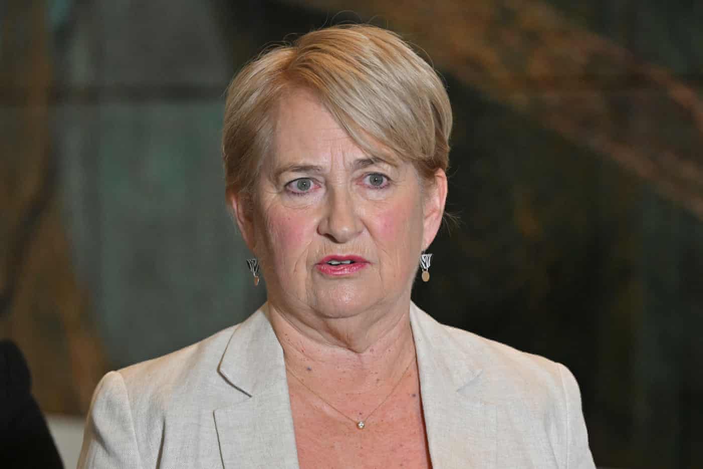 Greens senator Barbara Pocock.