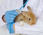 EPA to launch program that lets people adopt its lab animals amid Trump cuts