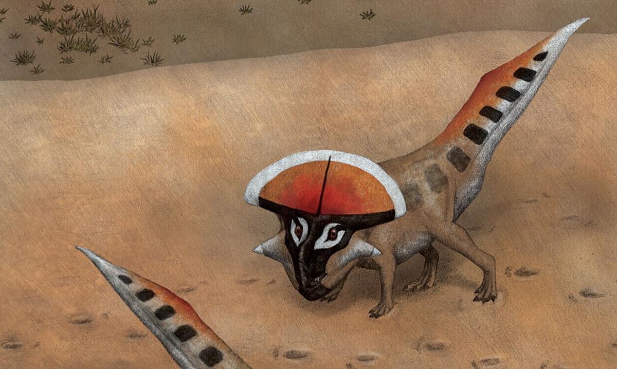 Frilling discovery explains head crests in sexy dinosaurs | Science | The Guardian