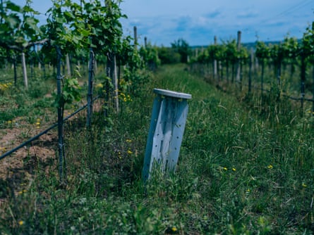 The unexploded Russian rocket stuck in the ground at the vineards of Steppe Wines in Mykolaiv region