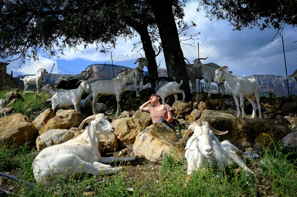 Εικόνα