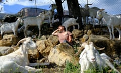 Shepherdess-Basu-17 Shepherdess Aina Lizarza Solana, 26, finally has a moment to soak in the sun while her animals relax in an enclosed pasture. She is surrounded by goats known as the ‘cabra catalana,’ an ancient breed that is indigenous to Catalunya, but suffered near-extinction in past decades. Solana worked with these goats last summer during an internship at a farm working to revitalize cabra catalana populations and revive public taste in their meat. Vilanova de Meiá, Catalunya, Spain. May 9, 2022. The Good Shepherdess. Walking with a New Generation of Shepherd-Women in Spain