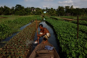 Mohammad Ibrahim, 48, irrigates his floating bed, at his farm in Pirojpur district, Bangladesh