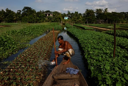 Mohammad Ibrahim irrigates his floating bed at his farm in Bangladesh.
