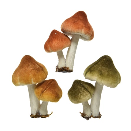 Cox & Cox six velvet mushroom clips