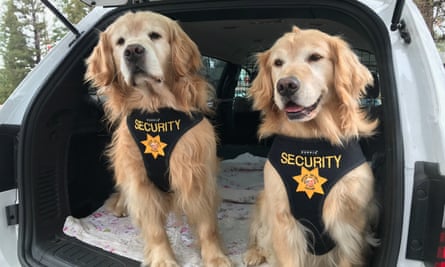 Mitzi and Mikey, deputy mayors in charge of security for Mayor Max.