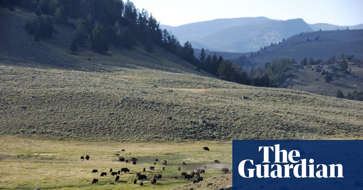 Yellowstone renames mountain linked to massacre of Native Americans