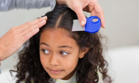 Schools braced for head lice invasion | Children | The Guardian