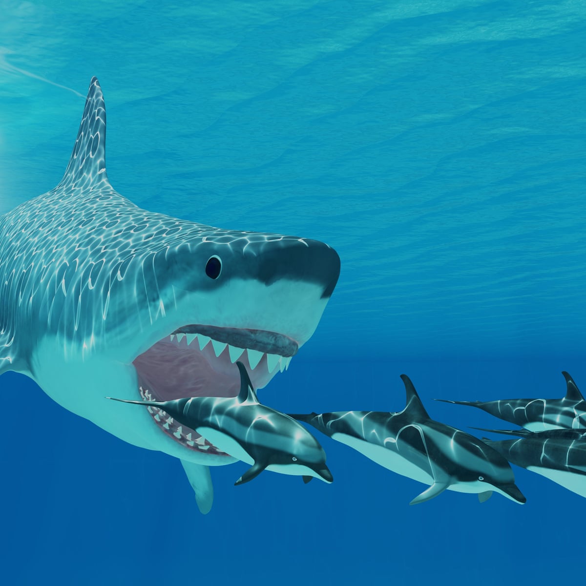 Baby Shark Newborn Megalodons Larger Than Humans Scientists Say Sharks The Guardian Baby Shark Newborn Megalodons Larger Than Humans Scientists Say Sharks The Guardian